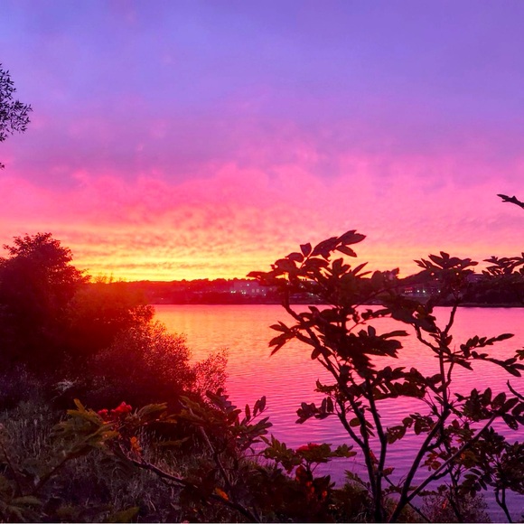 Meet your Posher, Teri - Picture 1 of 1